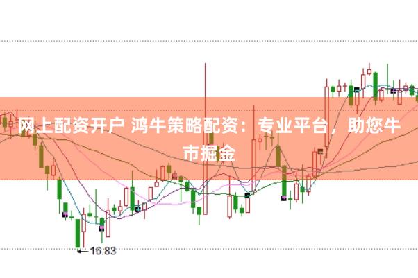 网上配资开户 鸿牛策略配资：专业平台，助您牛市掘金