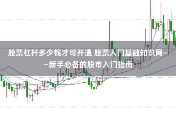 股票杠杆多少钱才可开通 股票入门基础知识网——新手必备的股市入门指南