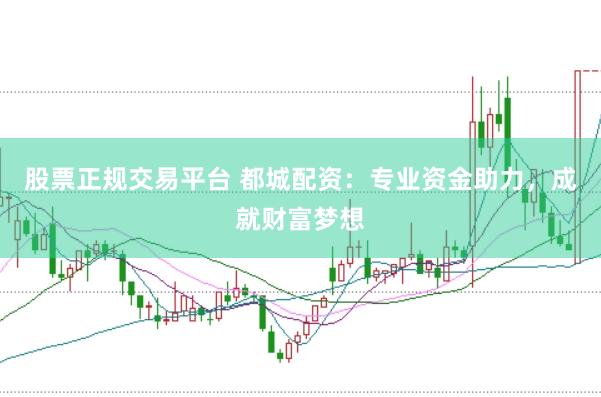 股票正规交易平台 都城配资：专业资金助力，成就财富梦想