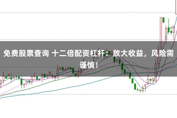 免费股票查询 十二倍配资杠杆：放大收益，风险需谨慎！
