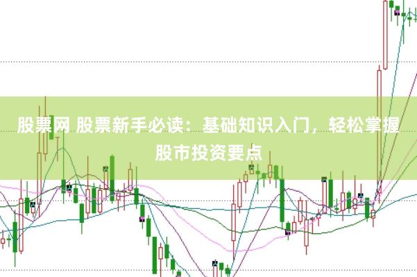 股票网 股票新手必读：基础知识入门，轻松掌握股市投资要点
