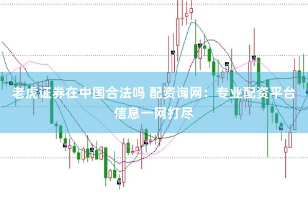 老虎证券在中国合法吗 配资询网：专业配资平台信息一网打尽