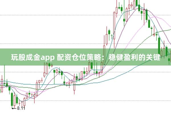 玩股成金app 配资仓位策略：稳健盈利的关键