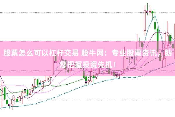 股票怎么可以杠杆交易 股牛网：专业股票资讯，助您把握投资先机！
