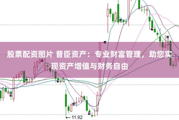 股票配资图片 普臣资产：专业财富管理，助您实现资产增值与财务自由