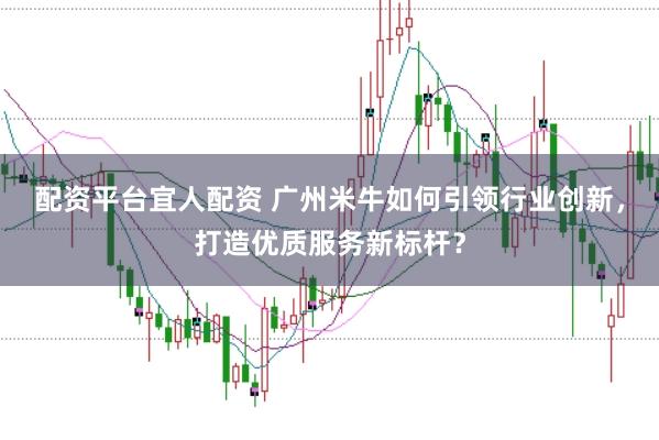 配资平台宜人配资 广州米牛如何引领行业创新，打造优质服务新标杆？