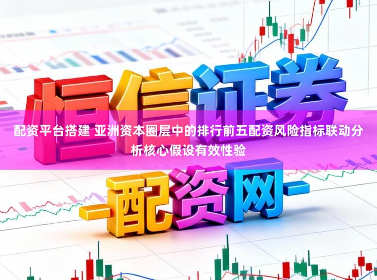 配资平台搭建 亚洲资本圈层中的排行前五配资风险指标联动分析核心假设有效性验