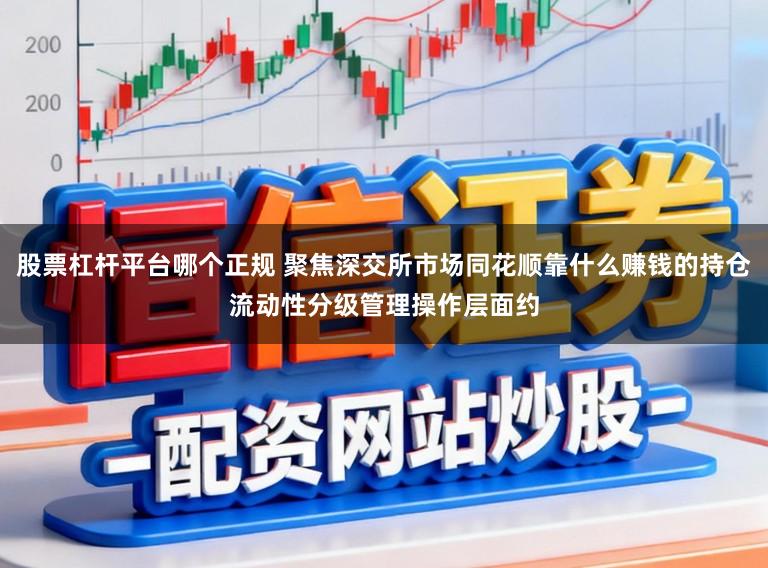 股票杠杆平台哪个正规 聚焦深交所市场同花顺靠什么赚钱的持仓流动性分级管理操作层面约