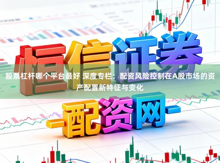 股票杠杆哪个平台最好 深度专栏：配资风险控制在A股市场的资产配置新特征与变化