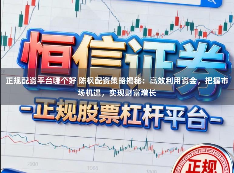 正规配资平台哪个好 陈枫配资策略揭秘：高效利用资金，把握市场机遇，实现财富增长