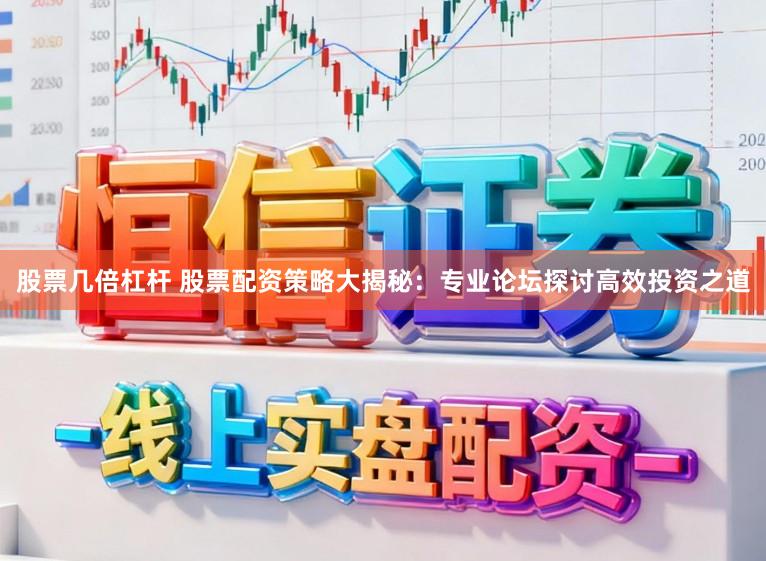 股票几倍杠杆 股票配资策略大揭秘：专业论坛探讨高效投资之道